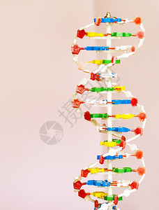 颜色生物学课堂密闭时的教室分子结构脱氧核糖酸图片