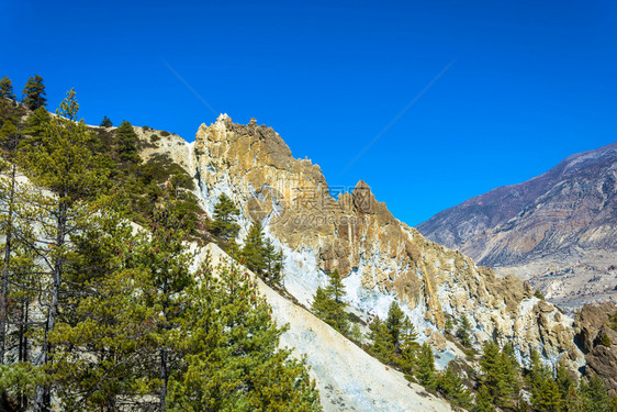 安纳普尔自然喜马拉雅山上美丽的岩石脉在明亮的阳光日尼泊尔季节图片