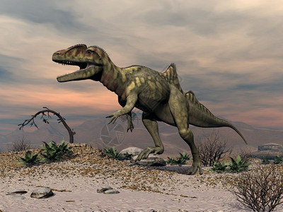 数字的日落前在沙漠中行走的召集人恐龙3D使召集人恐龙在沙漠中行走步史前图片