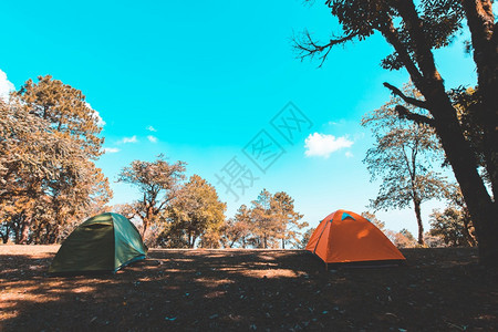 山区旅游帐篷露营图片