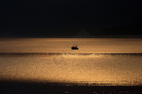 海边的月光水午夜亮图片