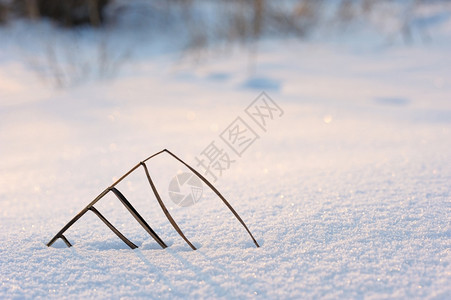 雪的粗糙纹理以滑动的太阳光为口号一种冰重音图片