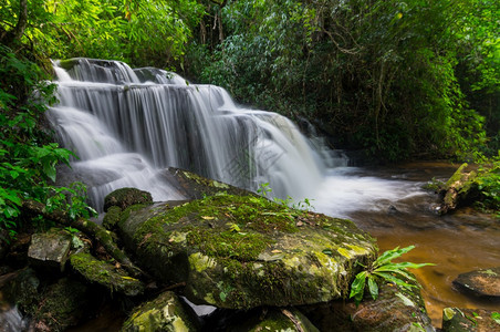 泰国森林瀑布图片