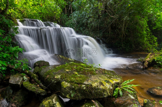 泰国森林瀑布图片