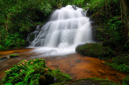 亚洲春天曼达恩瀑布秋色变化的瀑布美丽大自然曼达恩瀑布秋天图片