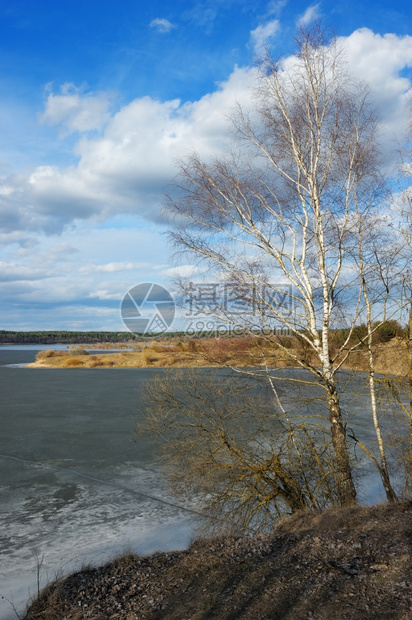 季节树木春天的初湖上最后的冰雪森林图片