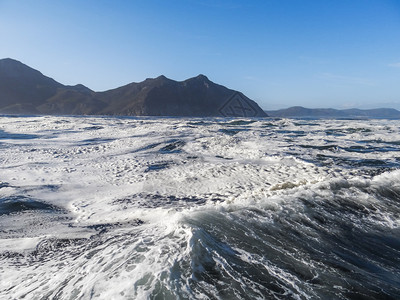 南非开普敦HoutBay海豹岛上的一种明亮泡沫图片