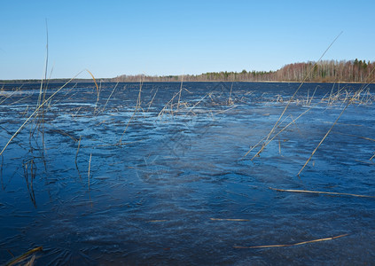 景观溪流俄罗斯的风景阿尔汉格斯克州在湖上喷发春天洪水面有冰俄语图片