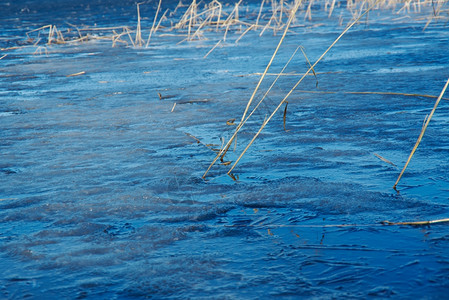 溪流户外俄语罗斯的风景阿尔汉格斯克州在湖上喷发春天洪水面有冰图片