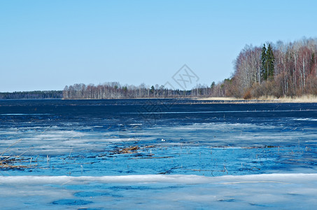 俄罗斯的风景阿尔汉格斯克州在湖上喷发春天洪水面有冰自然溪流反射图片