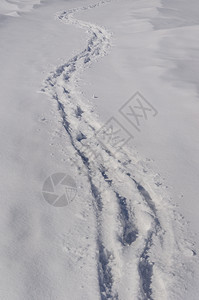 抽象的霜天新雪背景有足迹阳光冬日图片