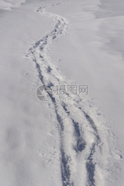 抽象的霜天新雪背景有足迹阳光冬日图片