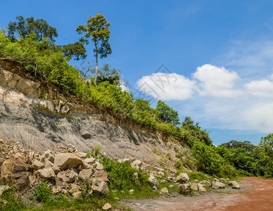 路红色的森林中岩石滑坡景观图片