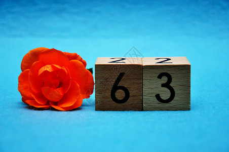 数学美丽的六十三岁蓝底的橙色玫瑰花数字图片
