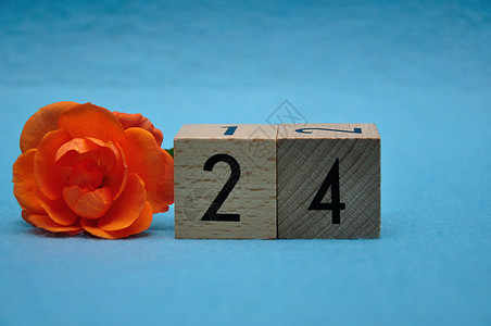 花新鲜的植物二十四岁蓝底有橙色玫瑰的蓝背景图片