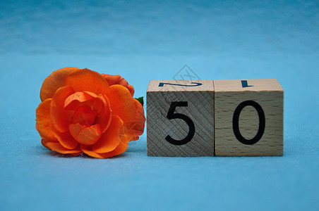 植物群数学50号蓝底有橙色玫瑰的蓝自然图片