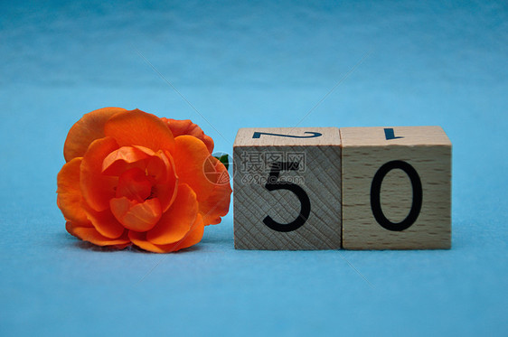 植物群数学50号蓝底有橙色玫瑰的蓝自然图片