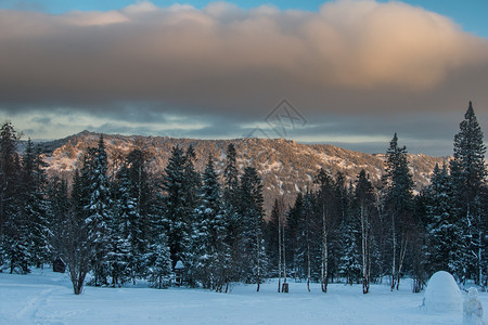 全景寒冷的清晨山上白雪覆盖的森林在黎明冬天风景的山中白雪覆盖森林自然图片