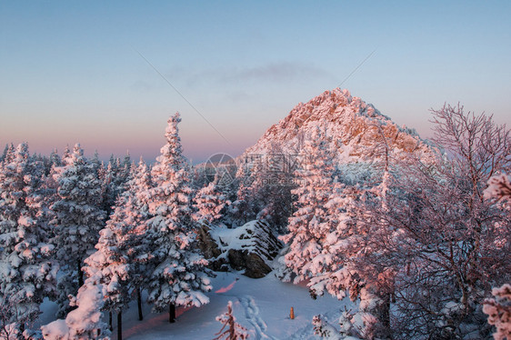 季节寒冷的远足清晨山上白雪覆盖的森林在黎明冬天风景的山中白雪覆盖森林图片