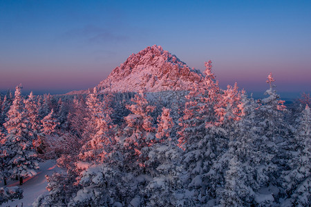 清晨山上白雪覆盖的森林在黎明冬天风景的山中白雪覆盖森林冰季节冷杉图片