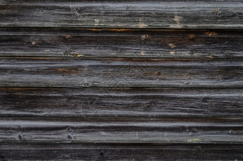 紧贴旧的自然气候恶劣灰色木板背景抽象的结松树图片
