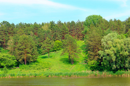 天空地面绿林松树和河流的青林森地及河水夏季风景热情地图片