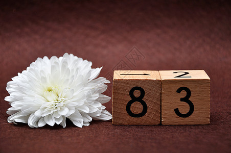 83号棕色背景上有一个白色的Aster盛开花数学图片