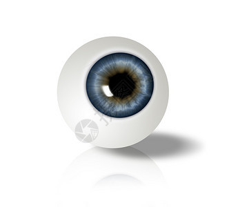 白色背景上的眼球为您的项目生成计算机插图蓝色的虹膜图片