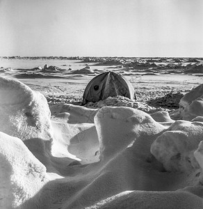 冰川海极端在北洋严酷的雪中嵌入黑白相片图片