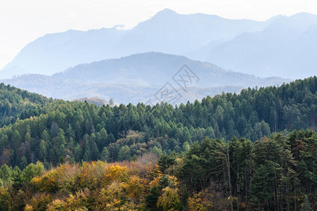 森林和山的秋后天地貌森林和山地景观通道灰蒙晚的图片