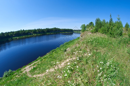森林景观俄罗斯阿肯汉格尔克州皮涅加河美丽的图片