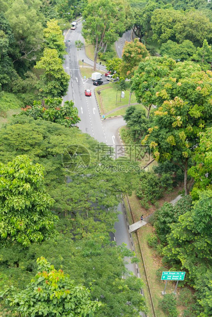 户外树通过新加坡公园的路通过新加坡园用于运输花空间用于交通城市图片