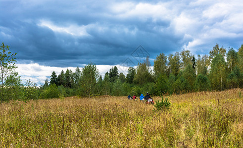 健康成人路美丽的秋天风景与一小群骑自行车的人在阴云一天图片