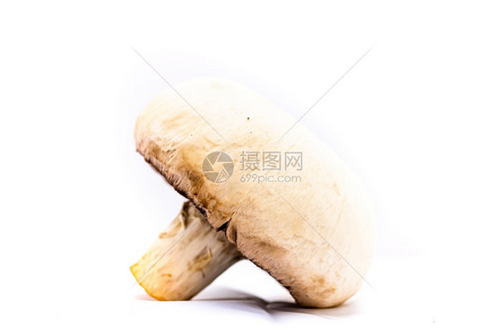 新鲜的香肠味蘑菇特闭式隔绝食物美营养图片