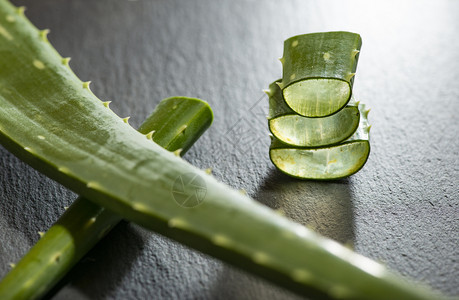 多汁的滋润深底部Aloevera切片健康与美貌概念在背光上的Clessupaloe碎片自然图片