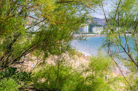 天空西班牙北部坎塔布里亚州桑坦德市夏季海景沿风优美图片