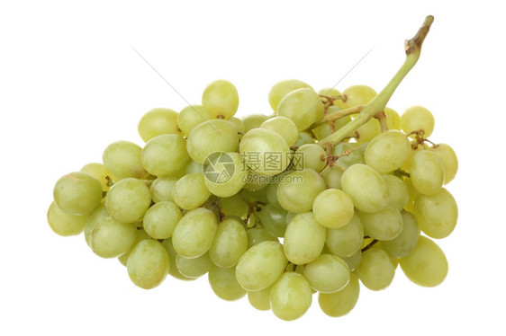 营养夏天饮食白底的一串新鲜葡萄图片