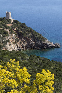 废墟地中海远景意大利撒丁亚的海岸线萨里省卡波西亚岛头领的撒丁景北西海岸图片