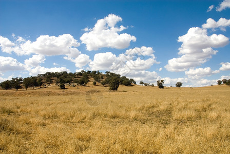澳大利亚西新南威尔士州遭受旱灾的干荒农田乡村土地干燥图片