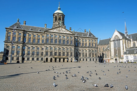 从阿姆斯特丹起在荷兰皇宫大坝广场的城风景荷兰皇宫优美建造城图片