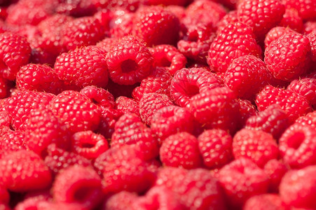 健康有质感的红草莓切合背景xA有机的图片
