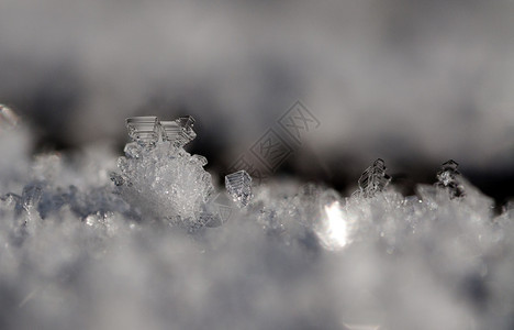 喜庆的铬合金下雪圆柱形宏薄片图片