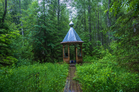 英石绿色美丽的俄罗斯Kostroma地区Antropovsky区Panovo村附近的圣尼古拉斯泉图片