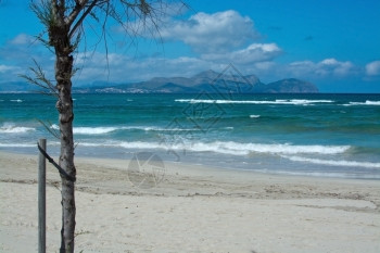 西班牙巴利阿里群岛马洛卡Mallorca的CanPicafort能绿松石波浪图片