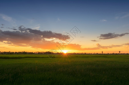 太阳黄昏蓝色的黑暗红云之夜闪亮的天空在幕下闪亮的夜晚日落天空中图片