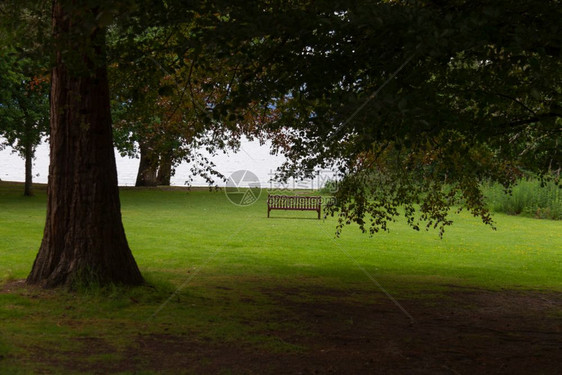 景区在苏格兰LochLomond通过更多的树枝对板凳和湖泊的景象平分支机构图片