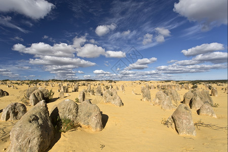 澳大利亚Numbung公园的Pinnacles沙漠景象风优美干燥矿物图片