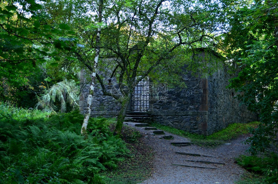 景观旅游Dunstaffnage礼拜堂的废墟在树林中筑巢假期图片