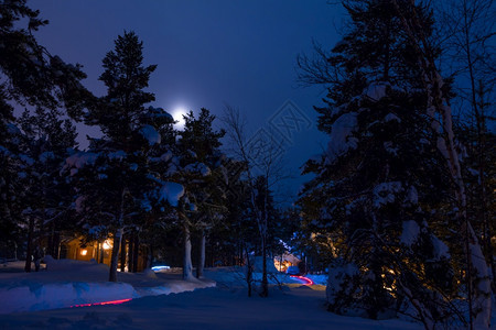 冬季森林大量的雪小村庄夜间圣诞灯冬季森林和月亮中村庄的圣诞灯饰家夜晚国图片