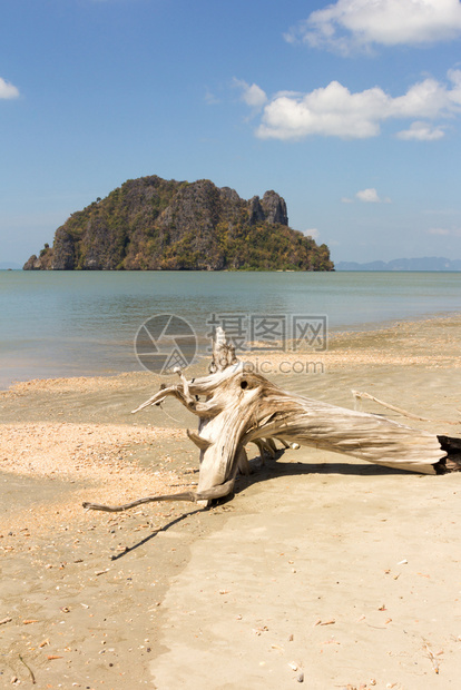 泰国川省华兴海滩上流露的漂浮木亚洲人太阳海岸图片